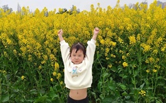 av狼网址发布器